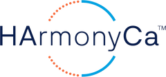 Logo 20